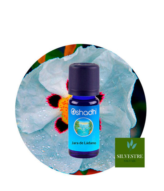 Aceite esencial de Jara de Ládano