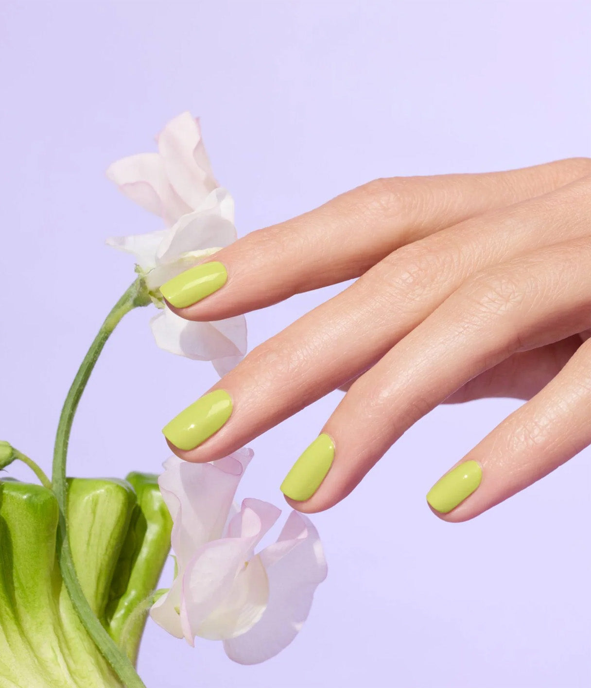 Lime