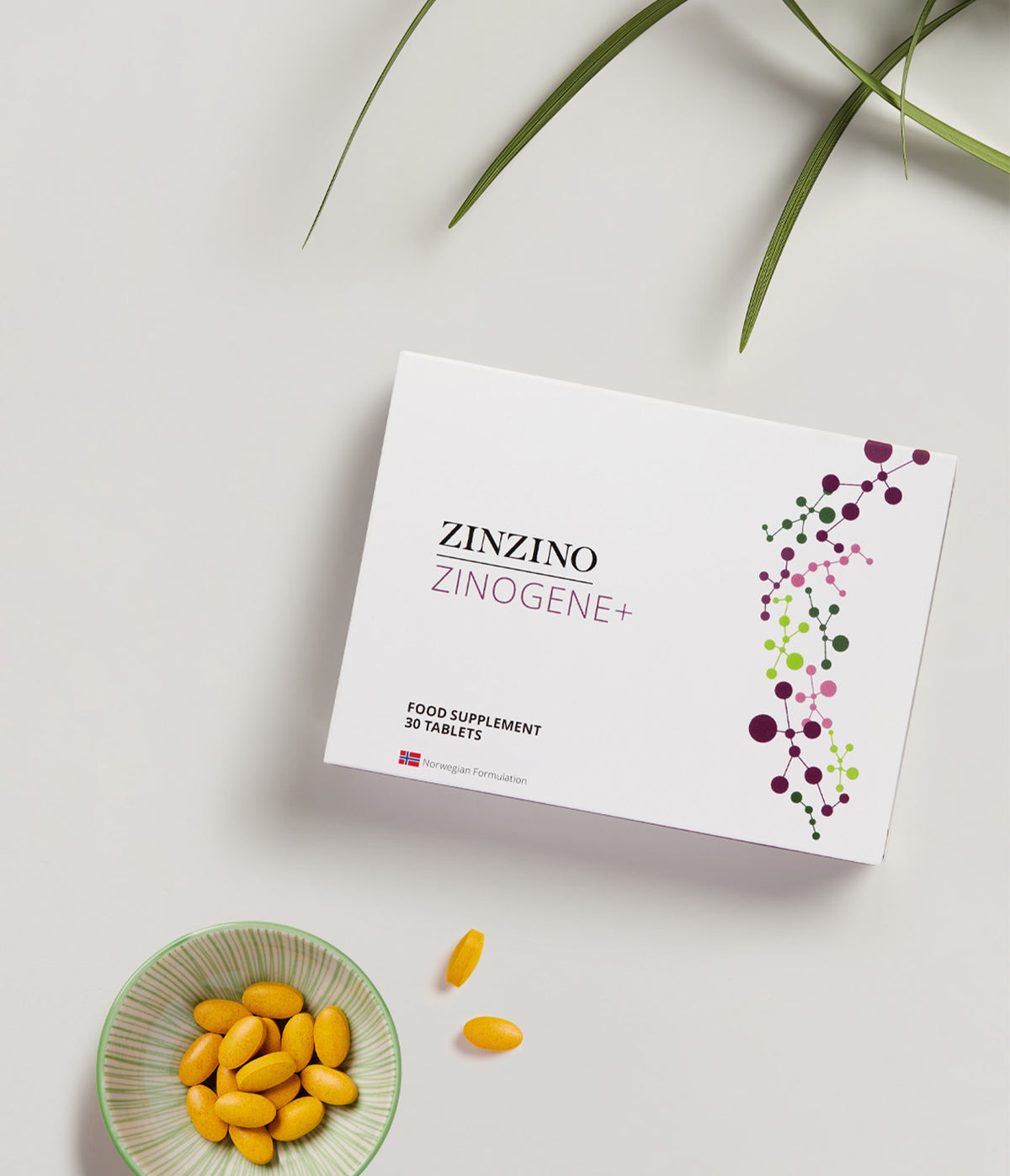ZinoGene+